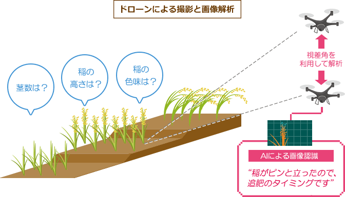 ドローンによる撮影とあ像解析