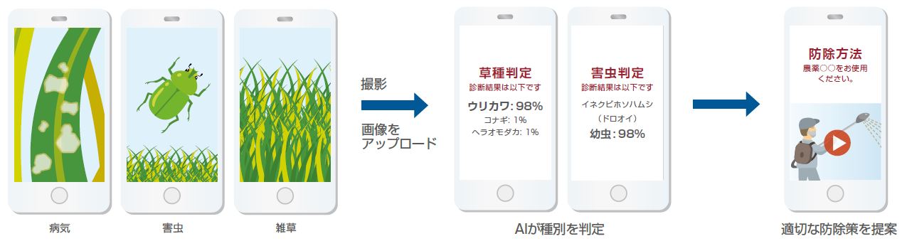 雑草・病害虫診断サービス