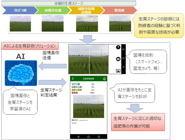 図１ 「生育診断ソリューション」のイメージ