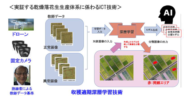 実証する乾燥落花生生産体系に関わるICT技術